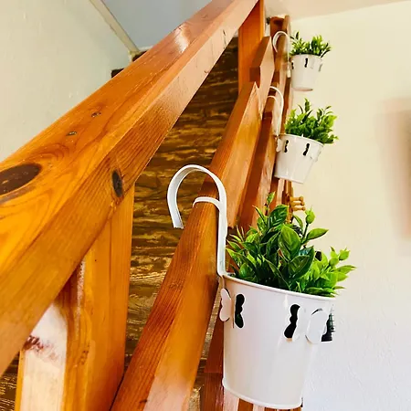 Villa Stella - Private House With Parking Spot, Pool And Sea View